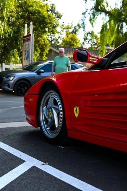 cadette trees badge requirements pdf