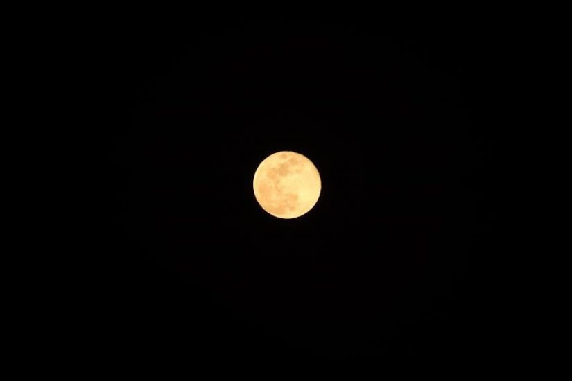 missal breaking bread 2024 pdf free download